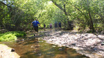 photo thumbnail #1