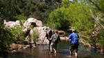 photo thumbnail #2