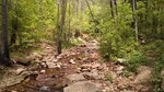 photo thumbnail #4