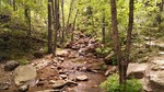 photo thumbnail #5