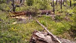 photo thumbnail #7
