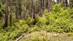 photo thumbnail #11