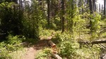 photo thumbnail #13