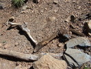 photo thumbnail #2