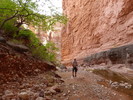 photo thumbnail #15