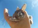 photo thumbnail #5