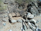 photo thumbnail #7