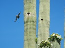 photo thumbnail #14