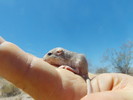 photo thumbnail #8