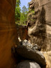 photo thumbnail #12