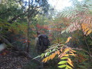photo thumbnail #2