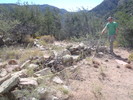 photo thumbnail #3