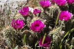 photo thumbnail #1