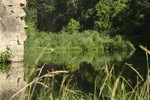photo thumbnail #5