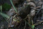 photo thumbnail #14
