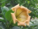 photo thumbnail #13