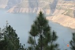 photo thumbnail #9