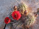 photo thumbnail #13