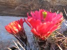 photo thumbnail #14