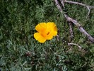 photo thumbnail #13