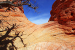 photo thumbnail #9