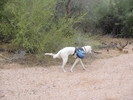 photo thumbnail #10