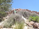 photo thumbnail #2