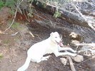 photo thumbnail #5