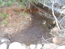photo thumbnail #8