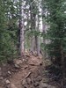 photo thumbnail #1