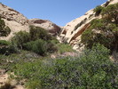 photo thumbnail #1