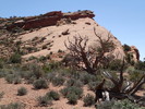 photo thumbnail #7