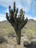 photo thumbnail #4
