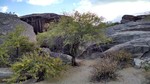 photo thumbnail #4