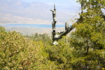 photo thumbnail #13