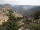 photo thumbnail #11