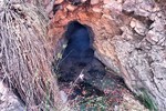 photo thumbnail #10