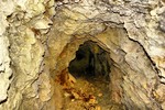photo thumbnail #12