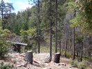 photo thumbnail #5