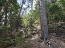 photo thumbnail #6
