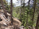 photo thumbnail #7