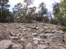 photo thumbnail #11