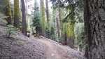 photo thumbnail #2