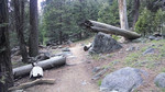 photo thumbnail #9