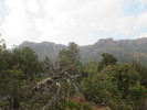 photo thumbnail #11