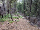 photo thumbnail #6