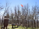 photo thumbnail #1