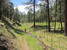 photo thumbnail #1