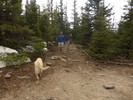 photo thumbnail #11