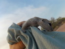 photo thumbnail #2